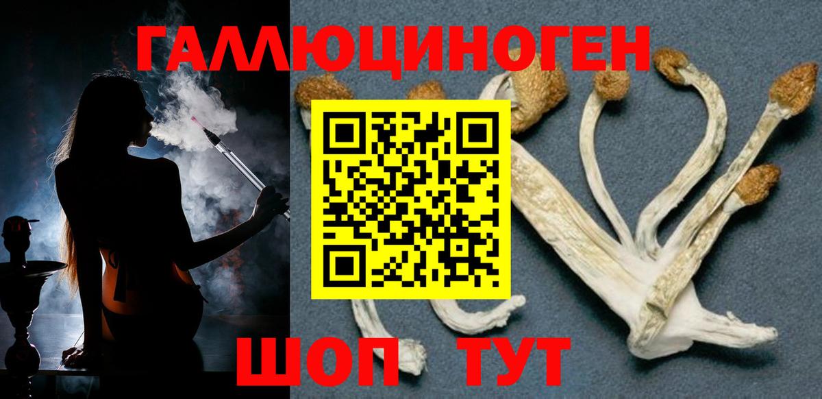 Пушкино  Галлюциногенные грибы Cubensis  Вход с VPN  Псилоцибиновые грибы мицелий 