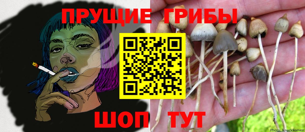 Галлюциногенные грибы мухоморы Пушкино